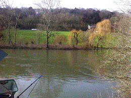 PEG 44 Pictures
